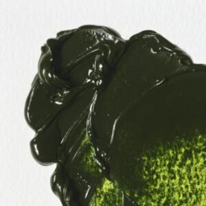 Oleos Winton W&N x37ml 599 Verde Vejiga